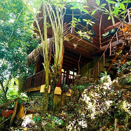 Jungle Face Inn エッラ エクステリア 写真