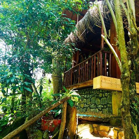 Jungle Face Inn エッラ エクステリア 写真