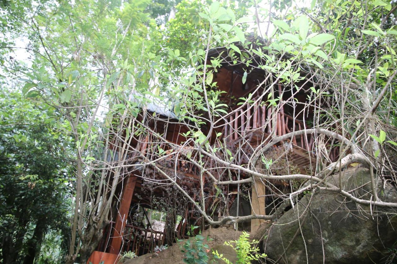 Jungle Face Inn エッラ エクステリア 写真
