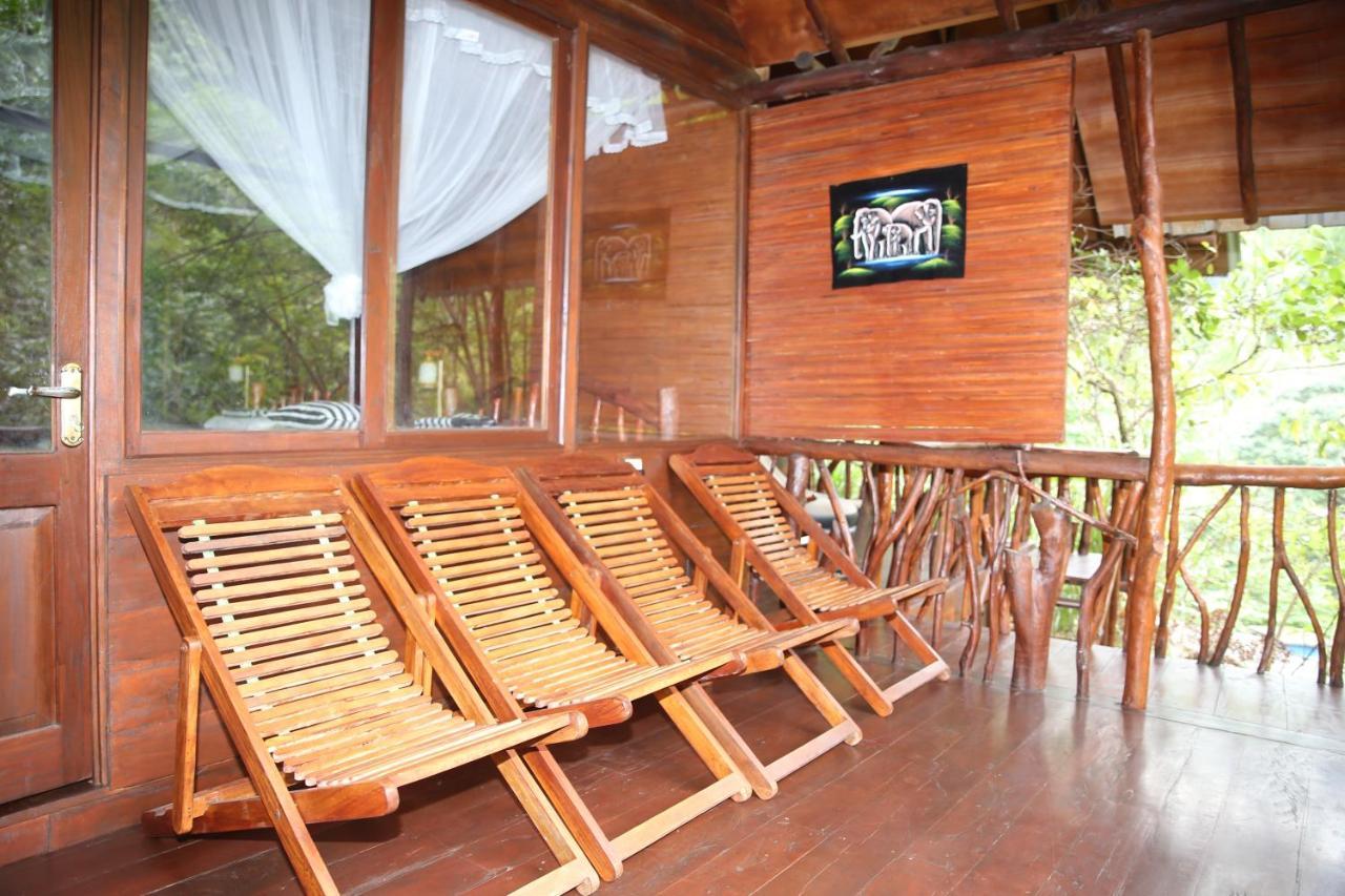 Jungle Face Inn エッラ エクステリア 写真