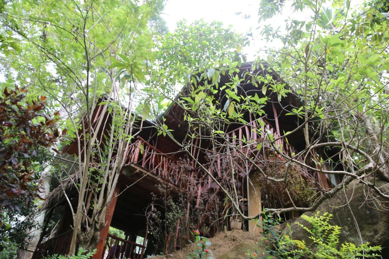Jungle Face Inn エッラ エクステリア 写真