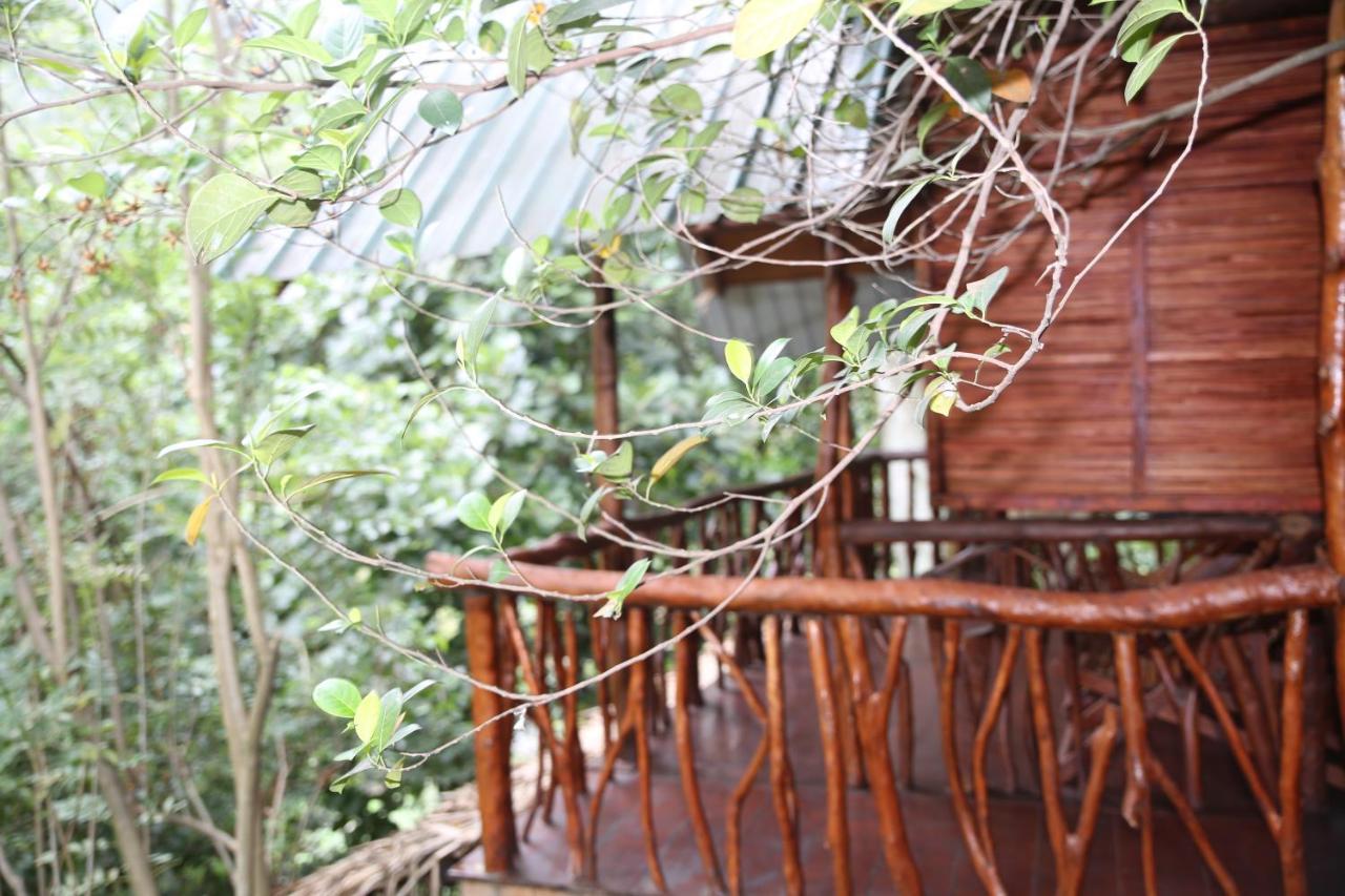 Jungle Face Inn エッラ エクステリア 写真