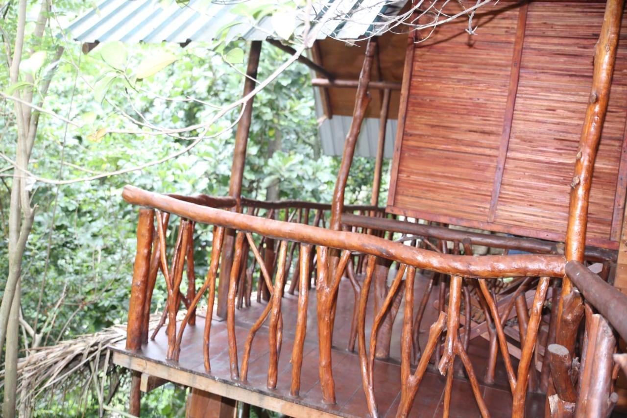 Jungle Face Inn エッラ エクステリア 写真