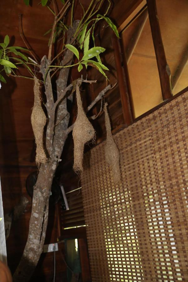 Jungle Face Inn エッラ エクステリア 写真