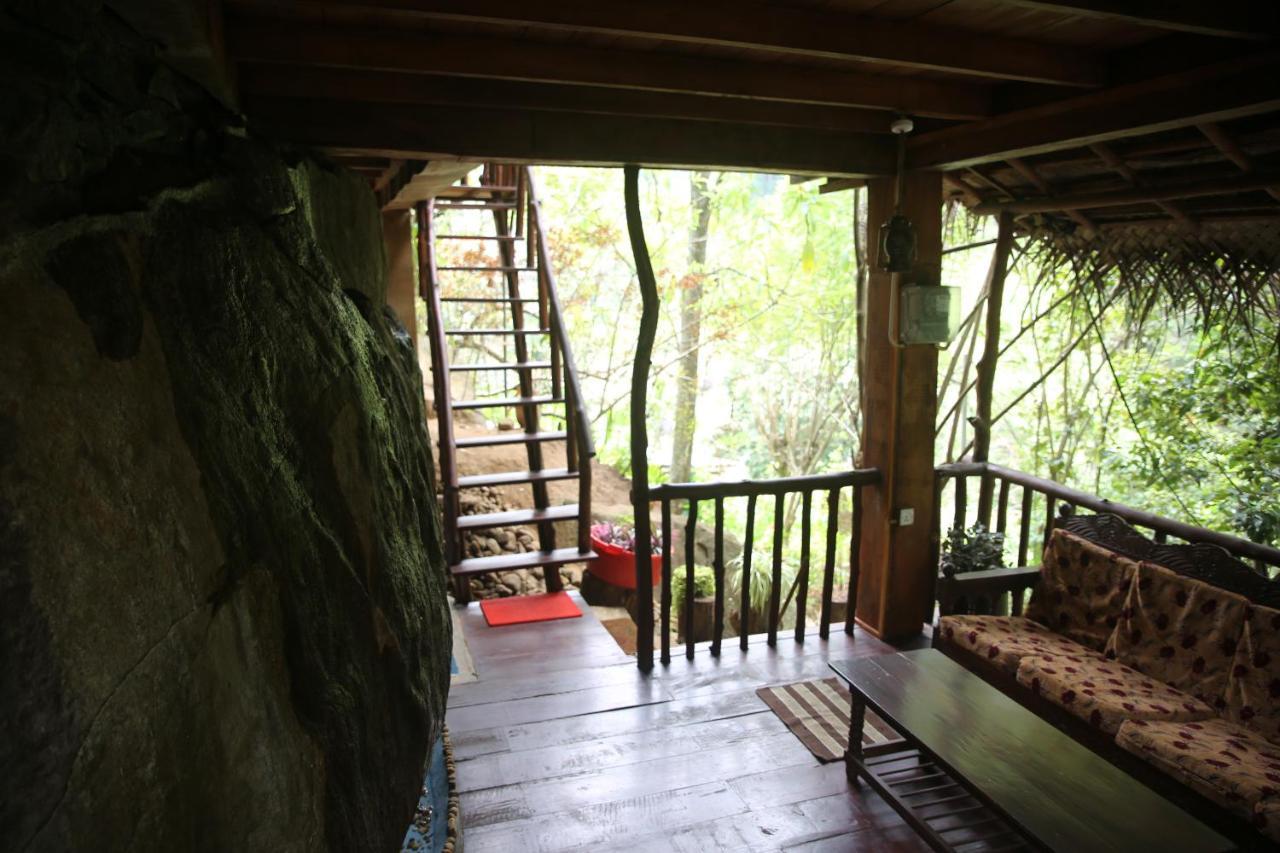 Jungle Face Inn エッラ エクステリア 写真