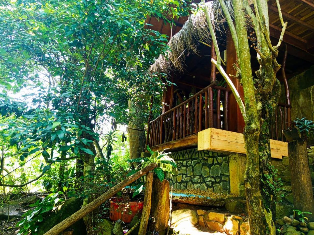 Jungle Face Inn エッラ エクステリア 写真