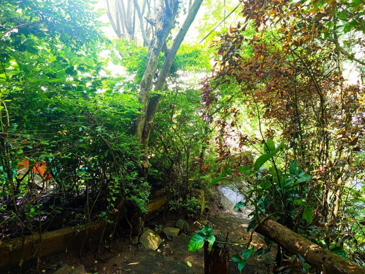 Jungle Face Inn エッラ エクステリア 写真