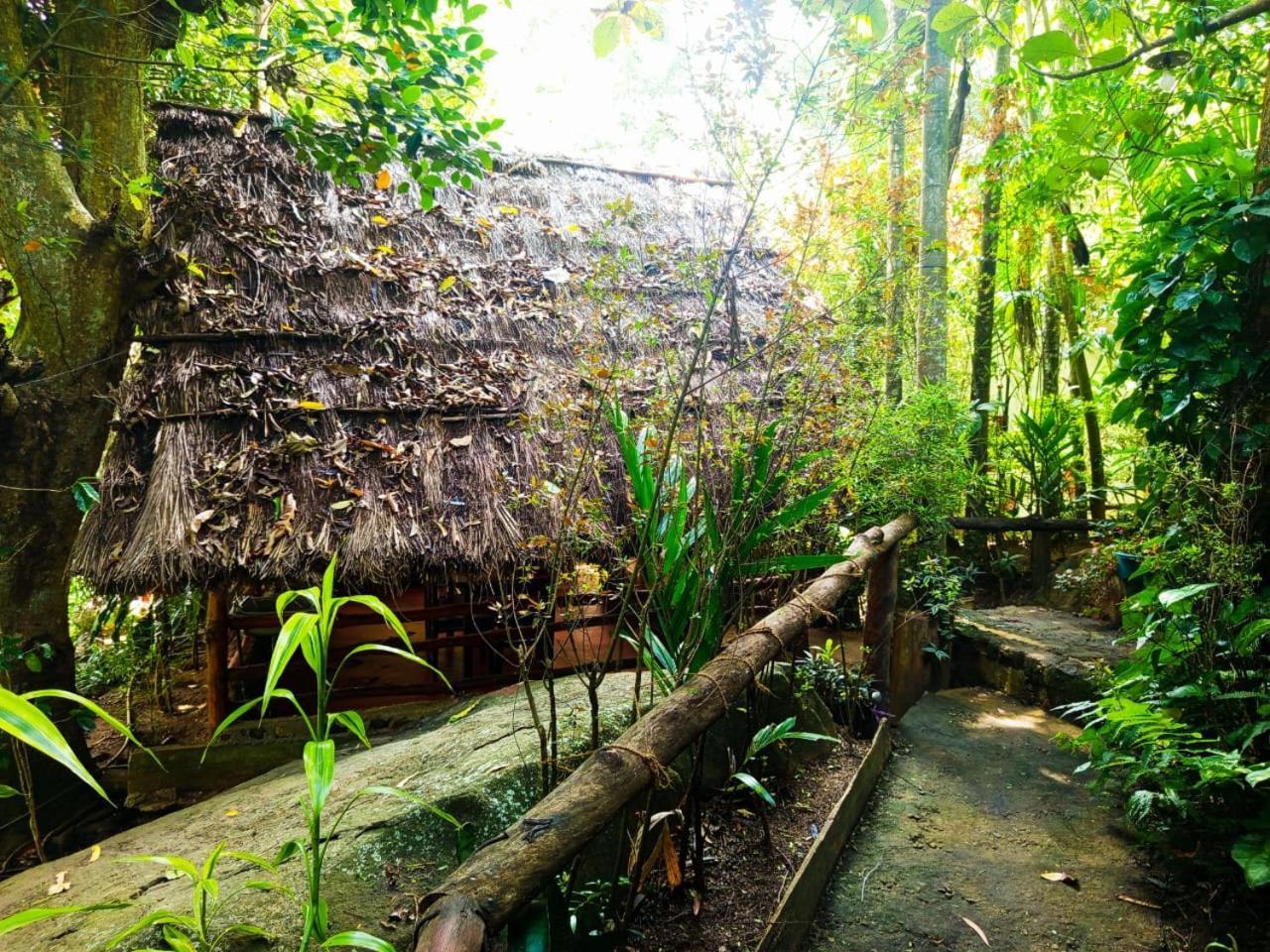 Jungle Face Inn エッラ エクステリア 写真