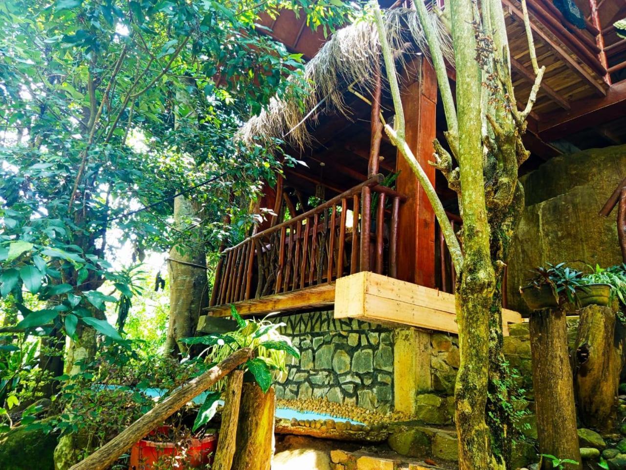 Jungle Face Inn エッラ エクステリア 写真