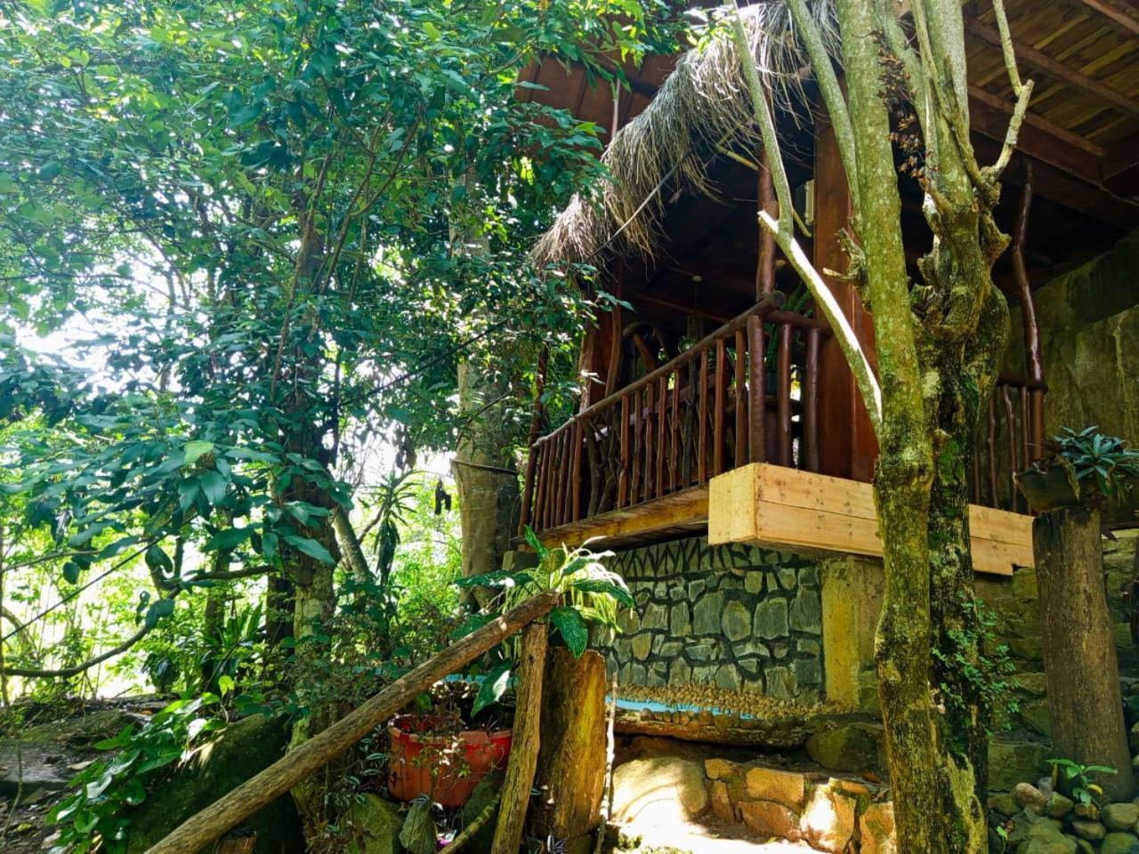 Jungle Face Inn エッラ エクステリア 写真