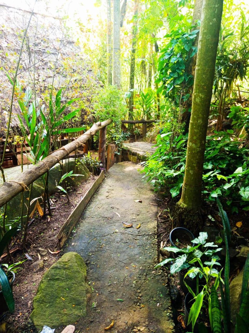 Jungle Face Inn エッラ エクステリア 写真