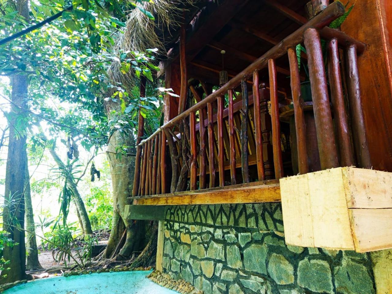 Jungle Face Inn エッラ エクステリア 写真