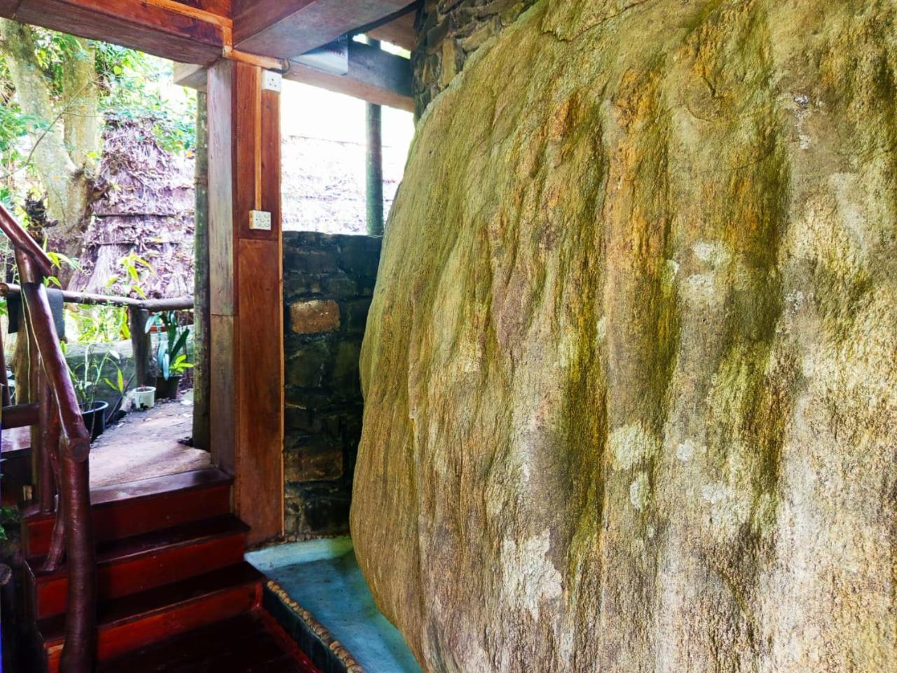 Jungle Face Inn エッラ エクステリア 写真
