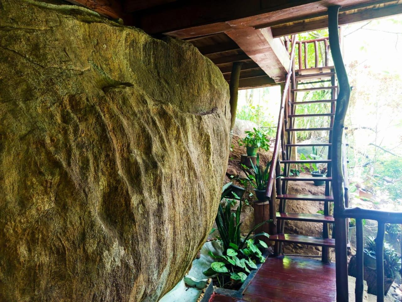 Jungle Face Inn エッラ エクステリア 写真