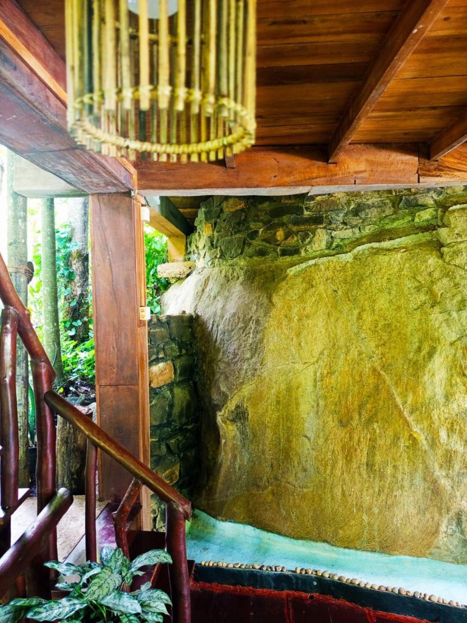 Jungle Face Inn エッラ エクステリア 写真