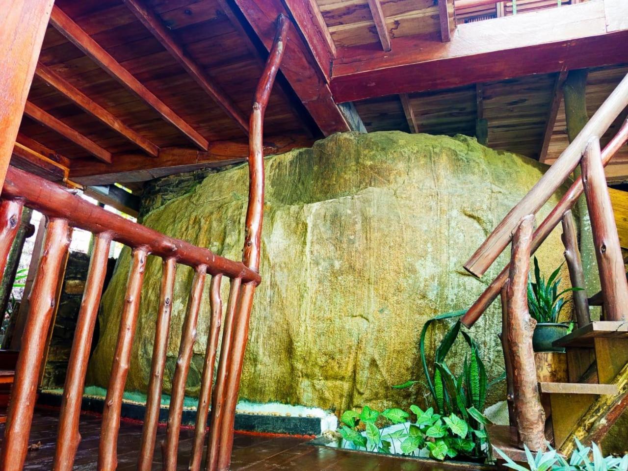 Jungle Face Inn エッラ エクステリア 写真