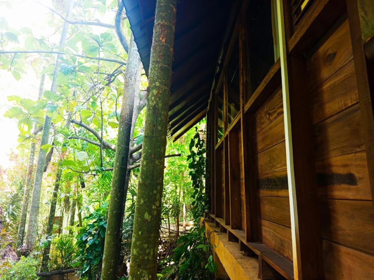Jungle Face Inn エッラ エクステリア 写真