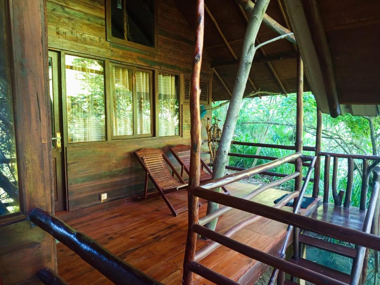 Jungle Face Inn エッラ エクステリア 写真