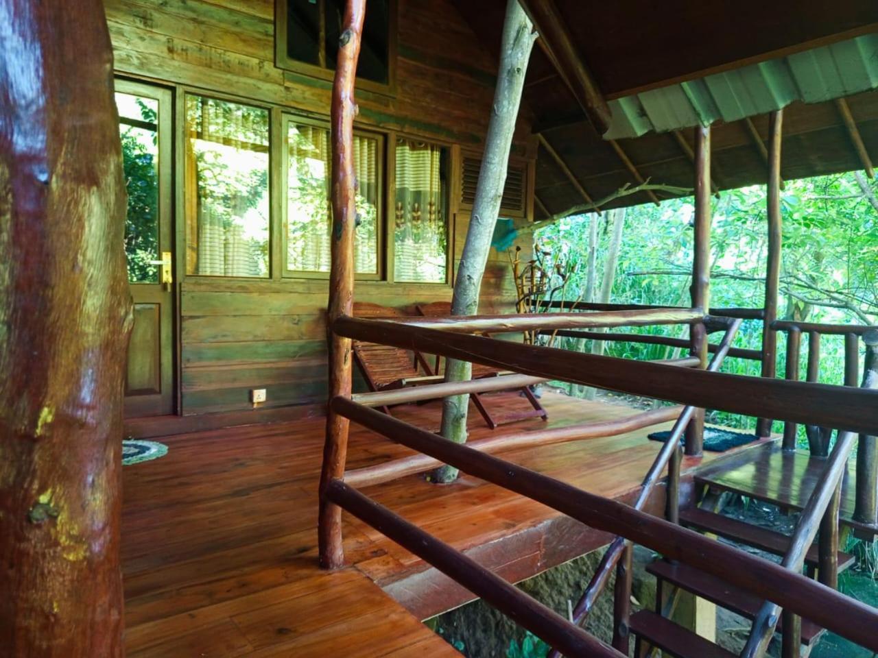 Jungle Face Inn エッラ エクステリア 写真