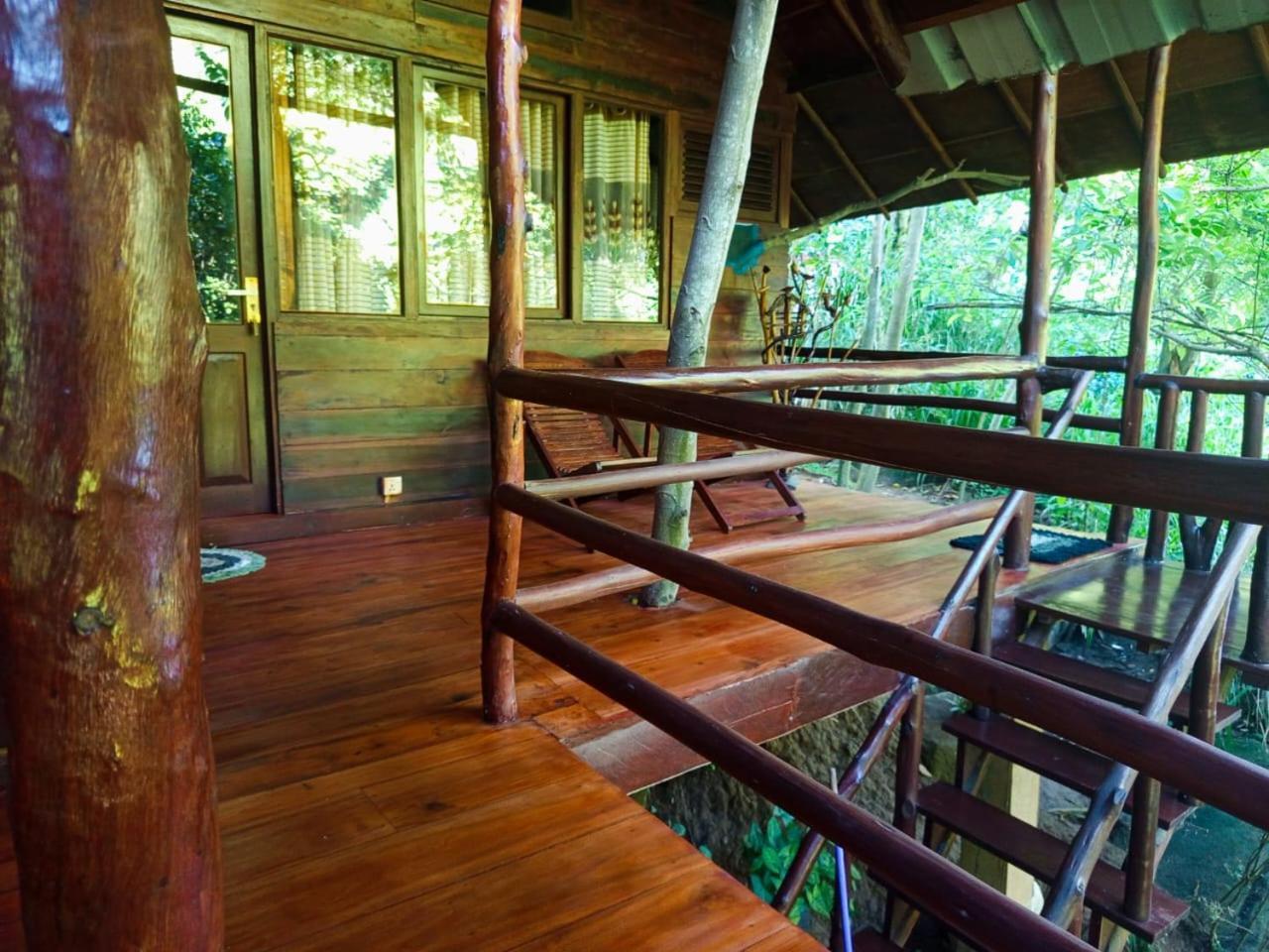 Jungle Face Inn エッラ エクステリア 写真