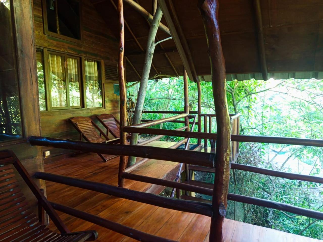 Jungle Face Inn エッラ エクステリア 写真