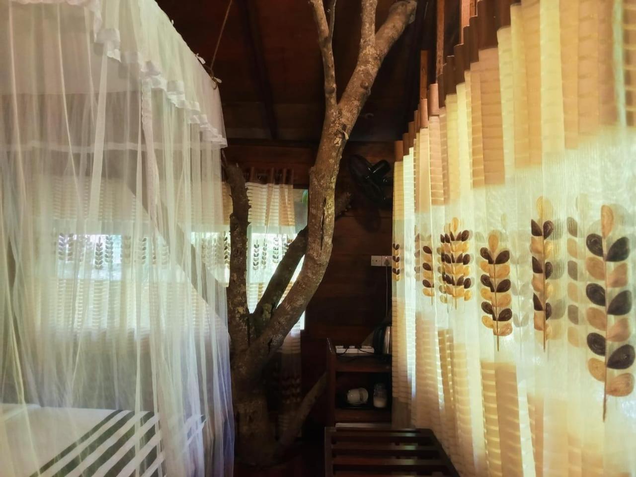 Jungle Face Inn エッラ エクステリア 写真