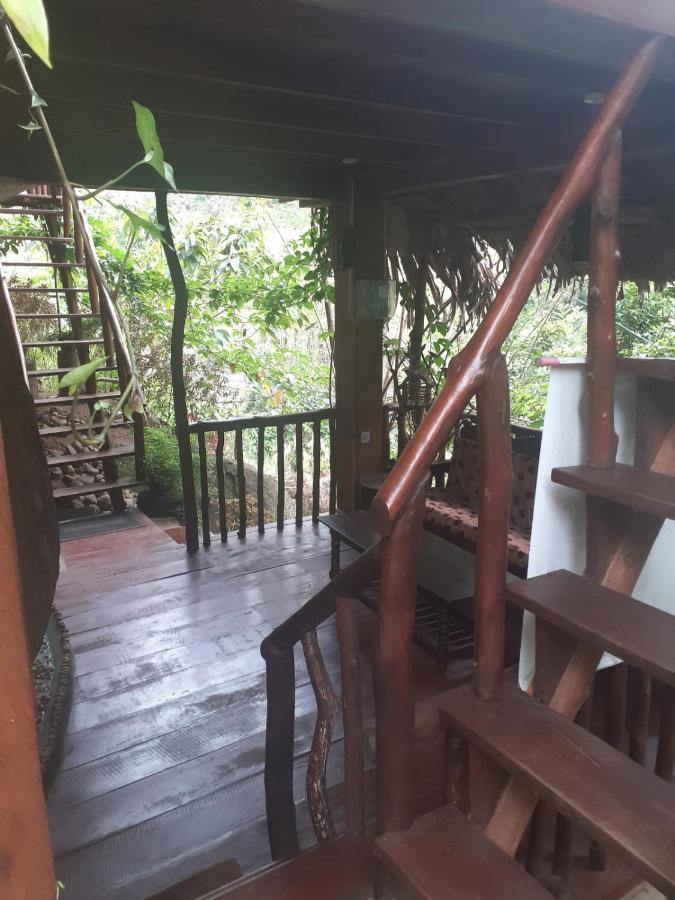 Jungle Face Inn エッラ エクステリア 写真