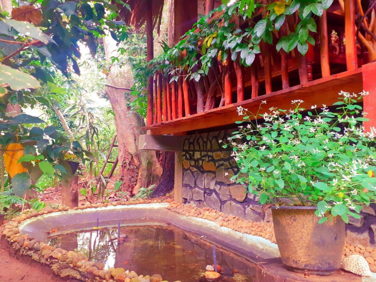 Jungle Face Inn エッラ エクステリア 写真