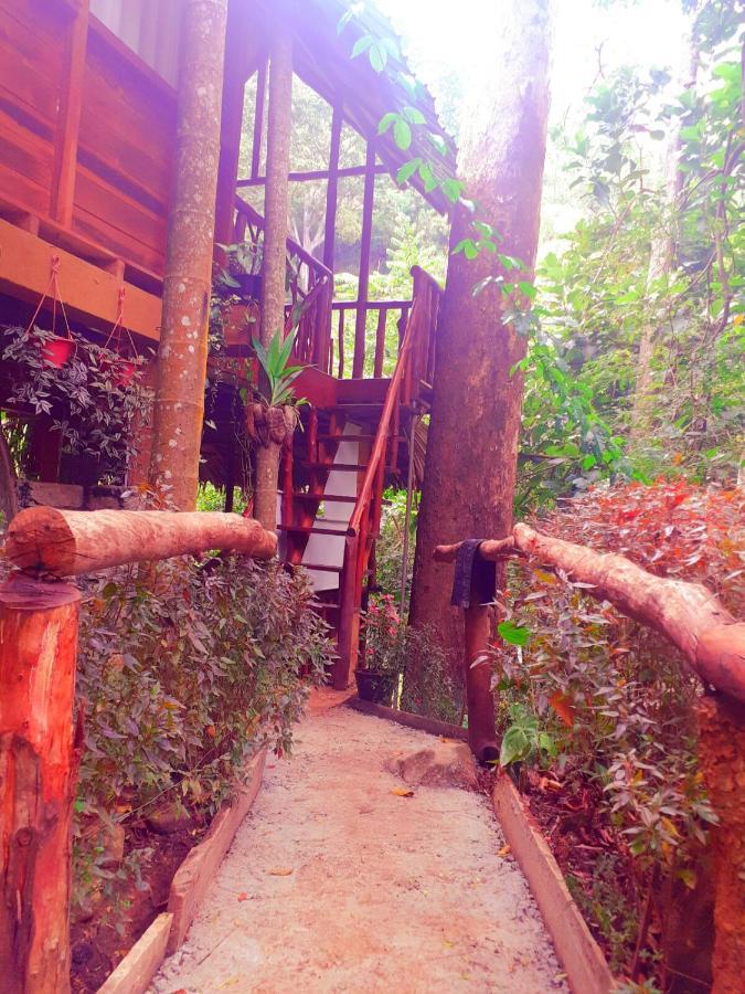 Jungle Face Inn エッラ エクステリア 写真